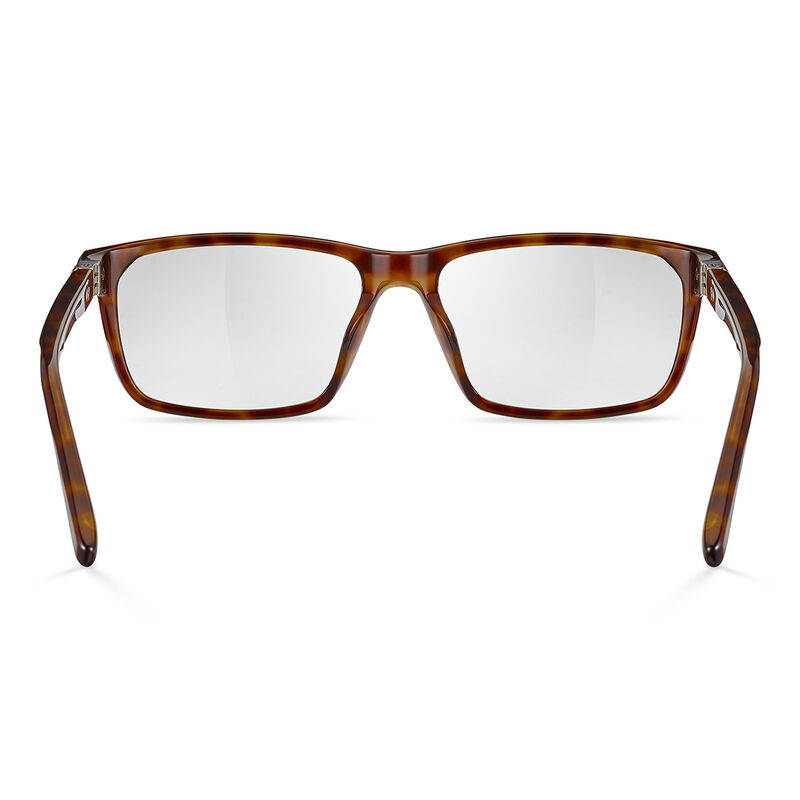 JASP 03, Havana Shiny-, hi-res image number null